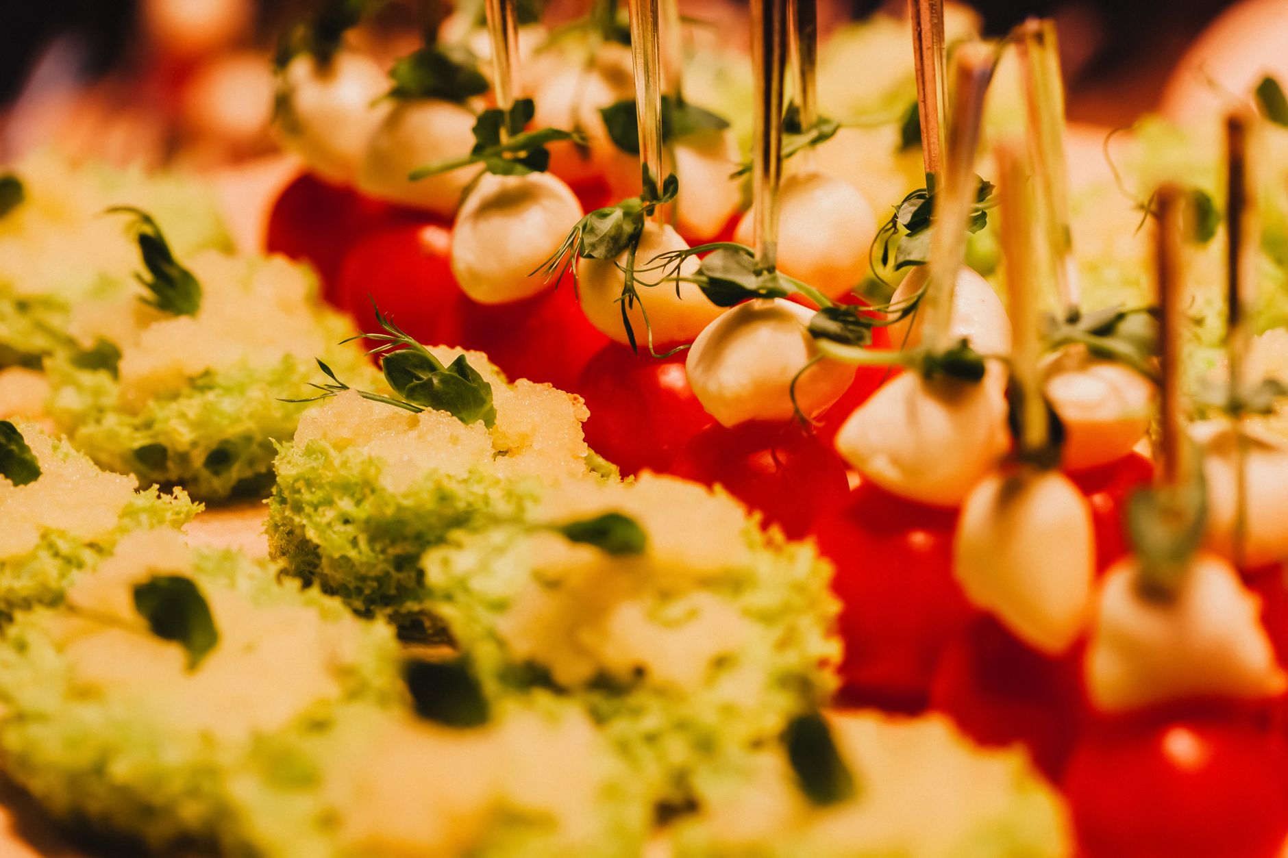 Tomaat-mozzarellaspiesjes met basilicum