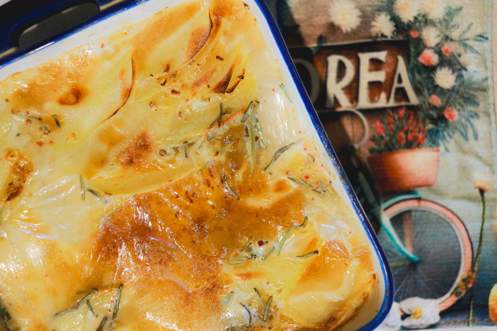 Venkelgratin met parmezaan