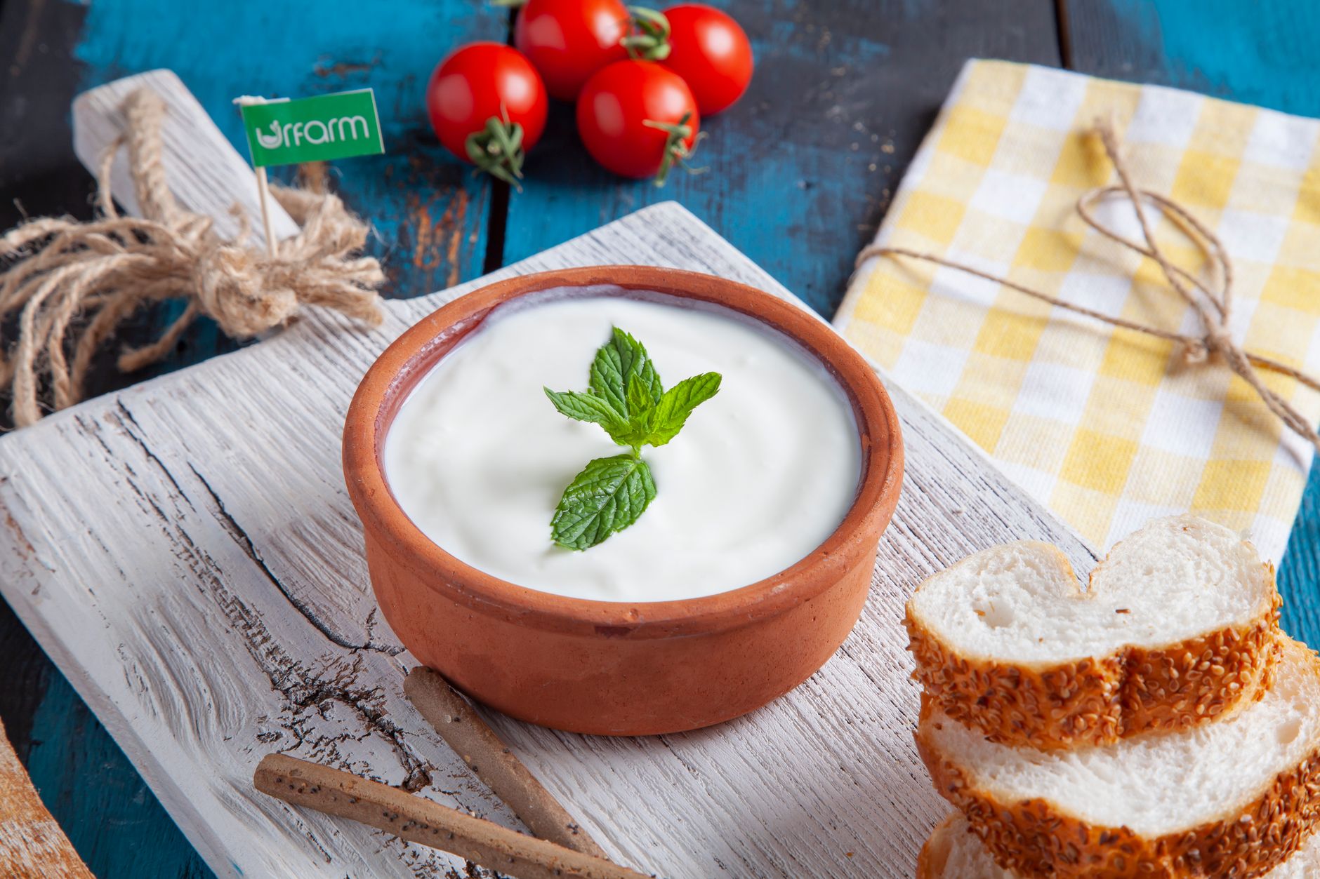 Turkse cacik, frisse yoghurt met komkommer en munt