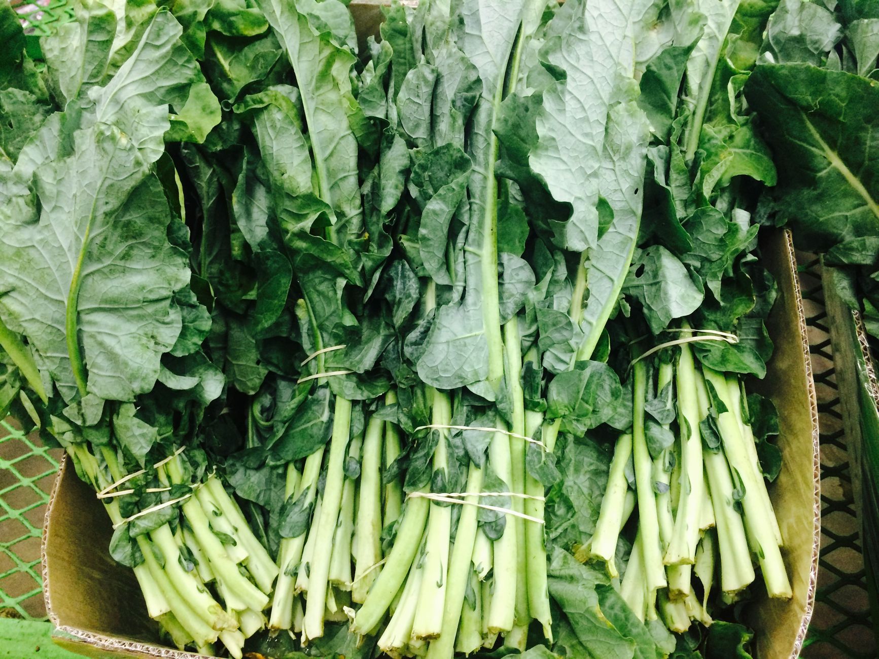 Southern collard greens met spek